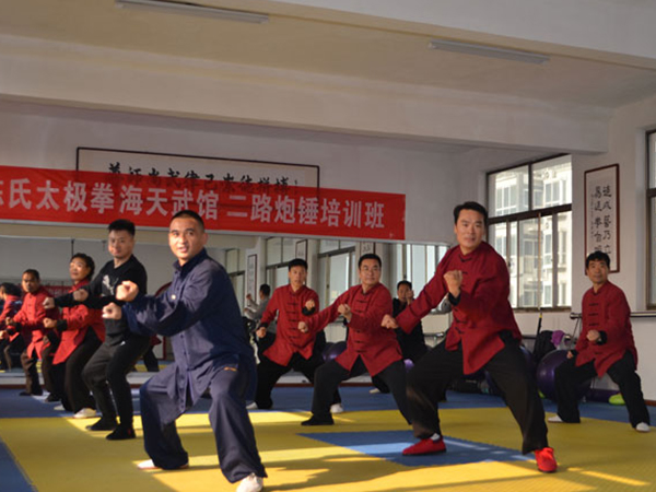 陈氏太极拳海天武馆第十二期二路炮锤培训班