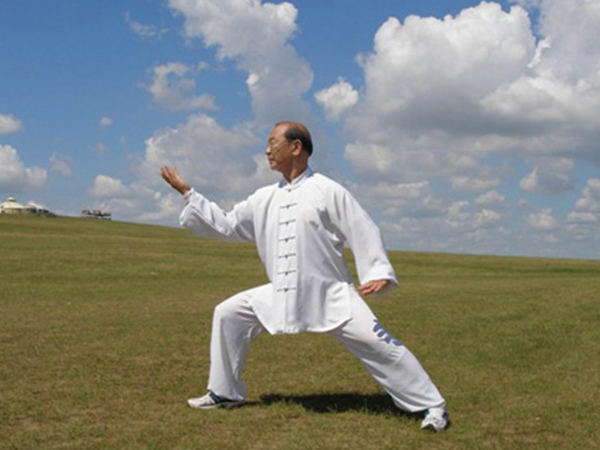 海天武馆陈氏太极拳
