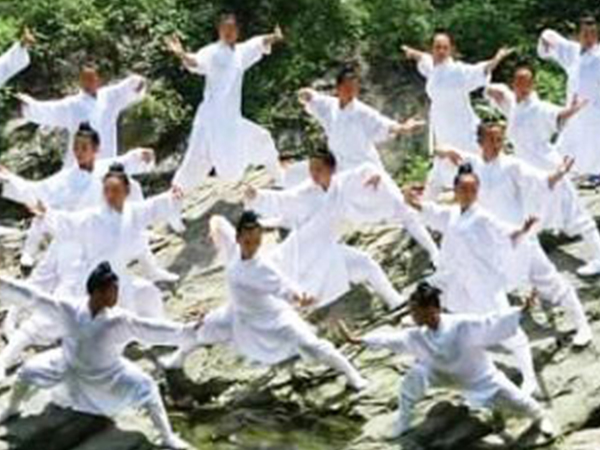 海天武馆中国2010年上海世博会文化演艺活动